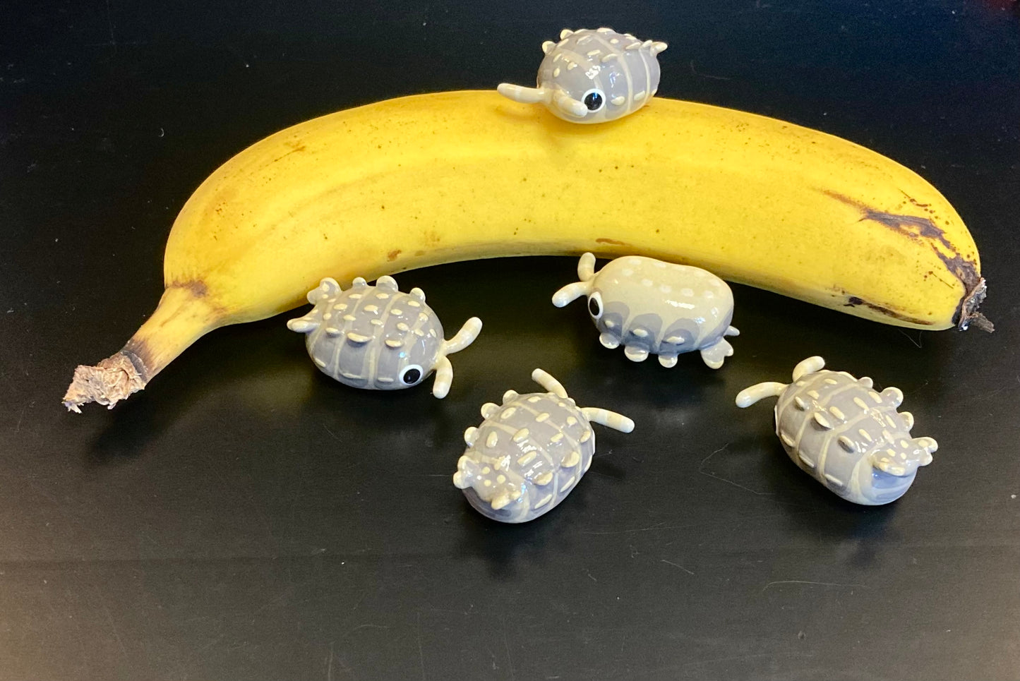 Reductoniscus tuberculatus "Dwarf Gator" Isopod Mini Sculpture