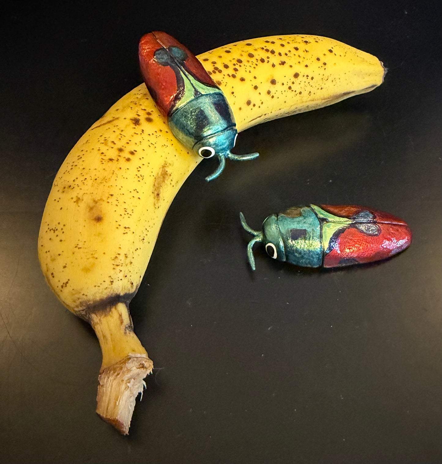 Anthaxia candens Magnet