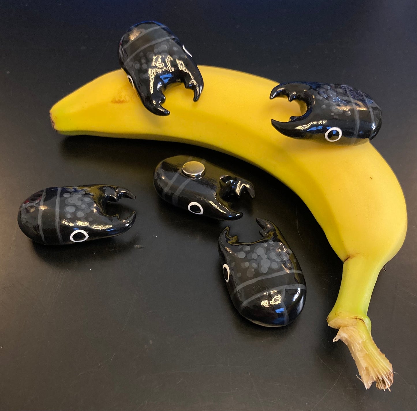 Serrognathus bucephalus Magnet