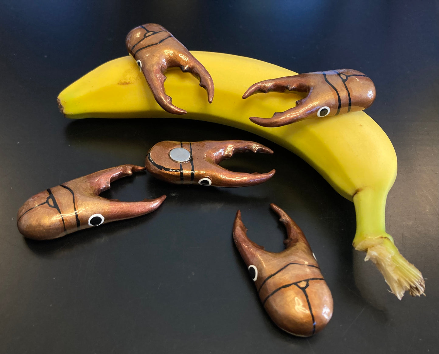 Cyclommatus metallifer Magnet