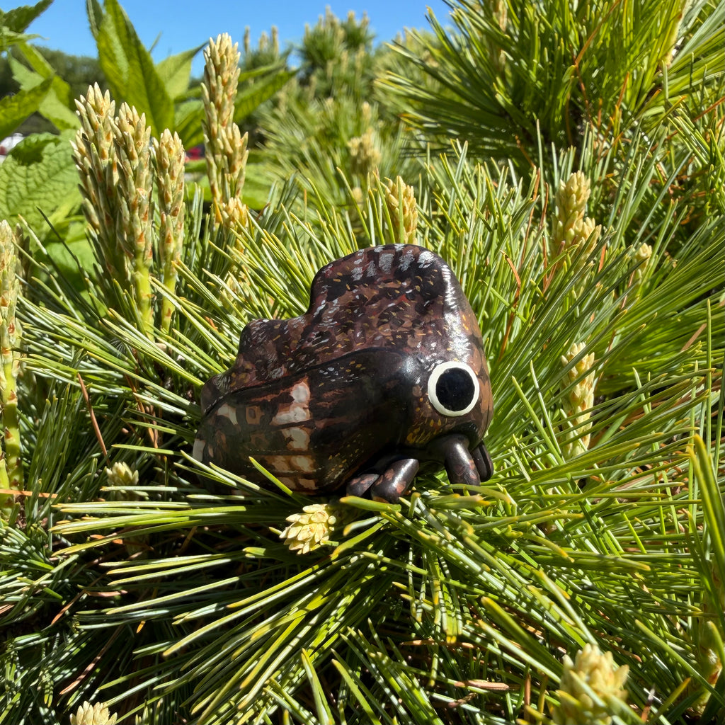 Tylopelta gibbera Sculpture