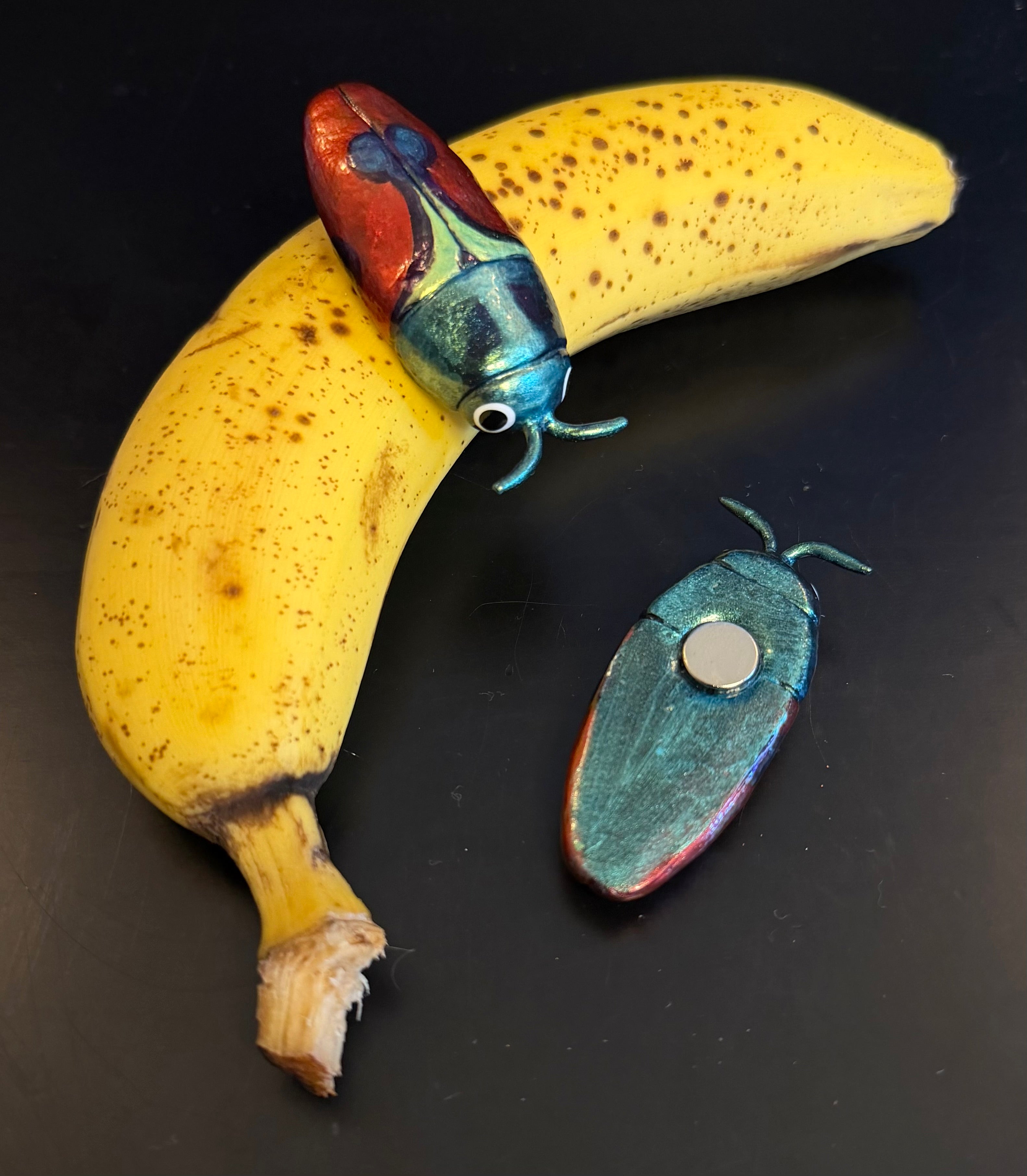 Anthaxia candens Magnet