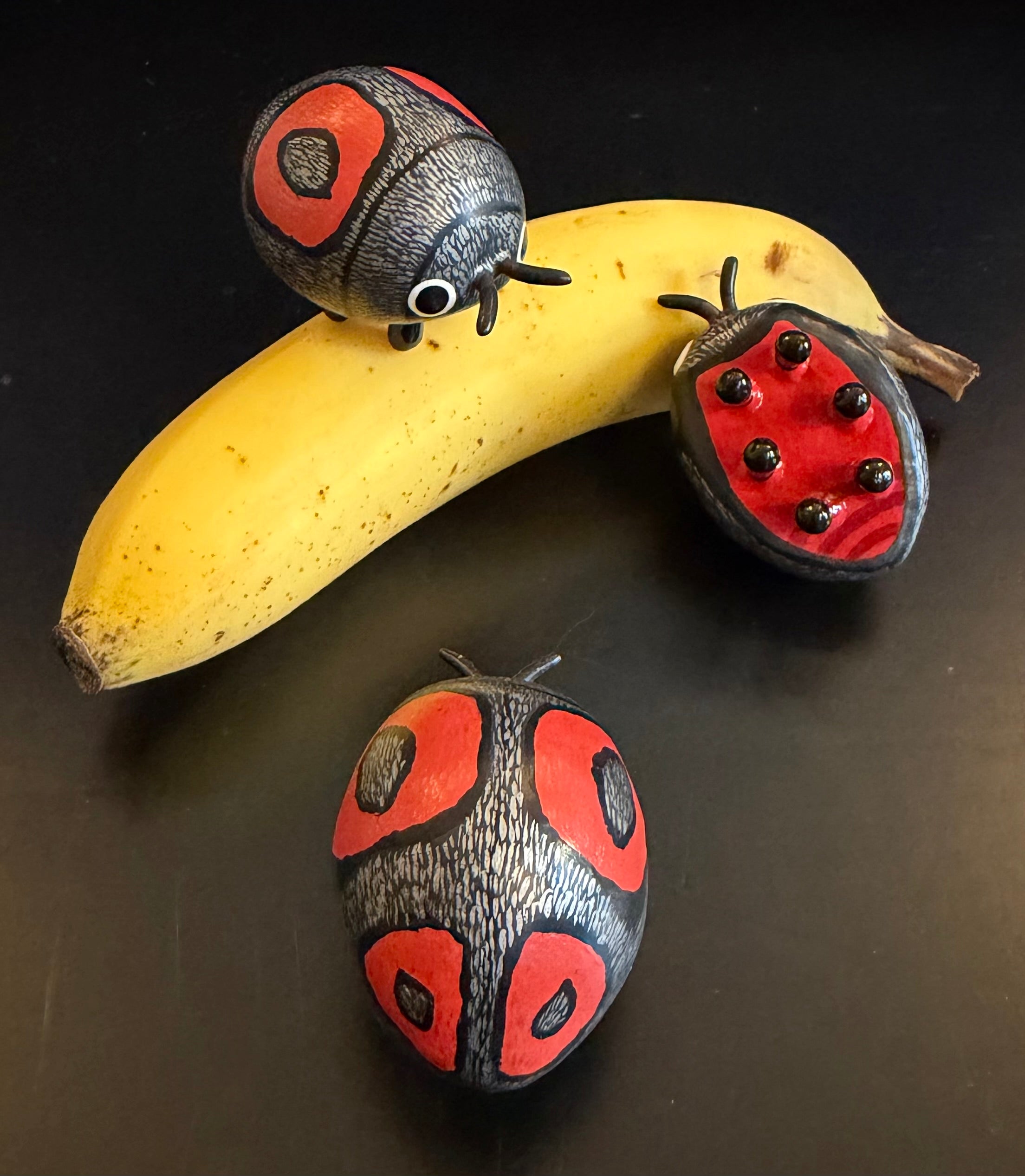 Chnootriba quadrioculata Sculpture