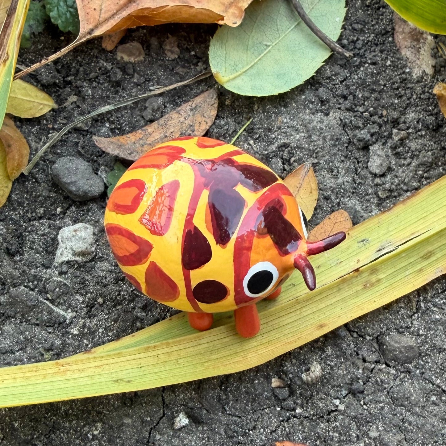 Dilatitibialus hybridula Sculpture