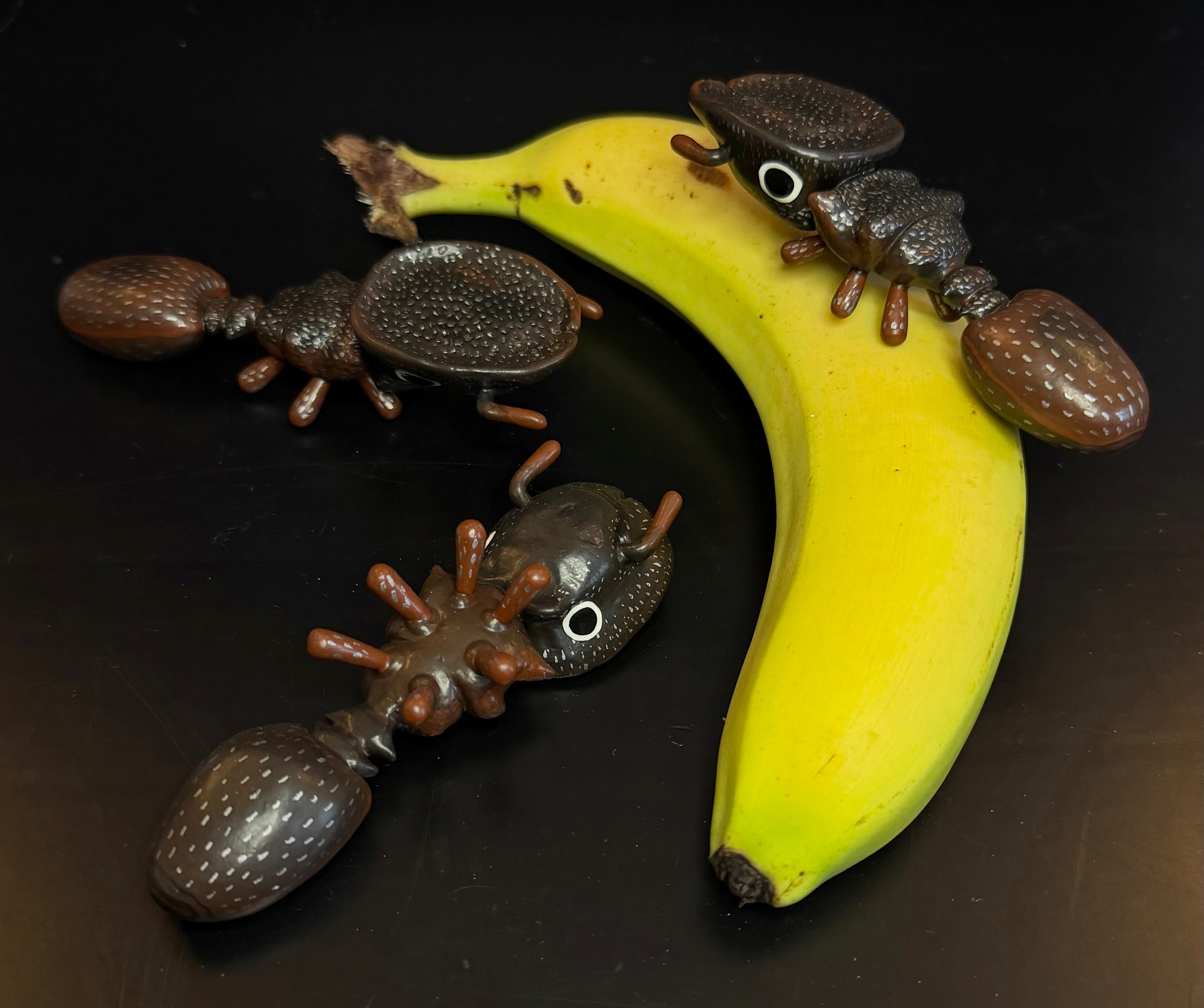 Cephalotes varians "Northern Caribbean Turtle Ant" Sculpture