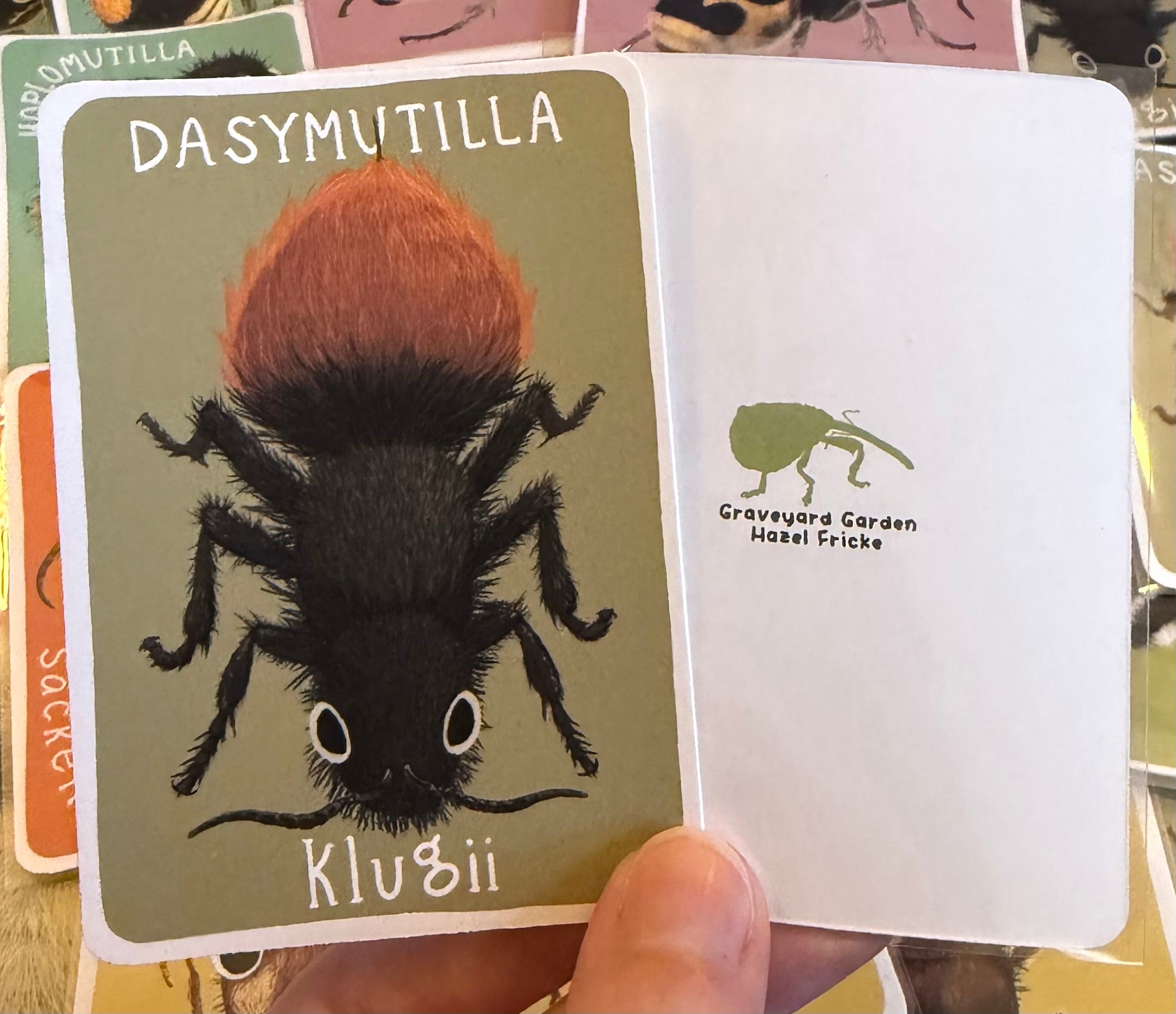 Mutillidae Mini Prints