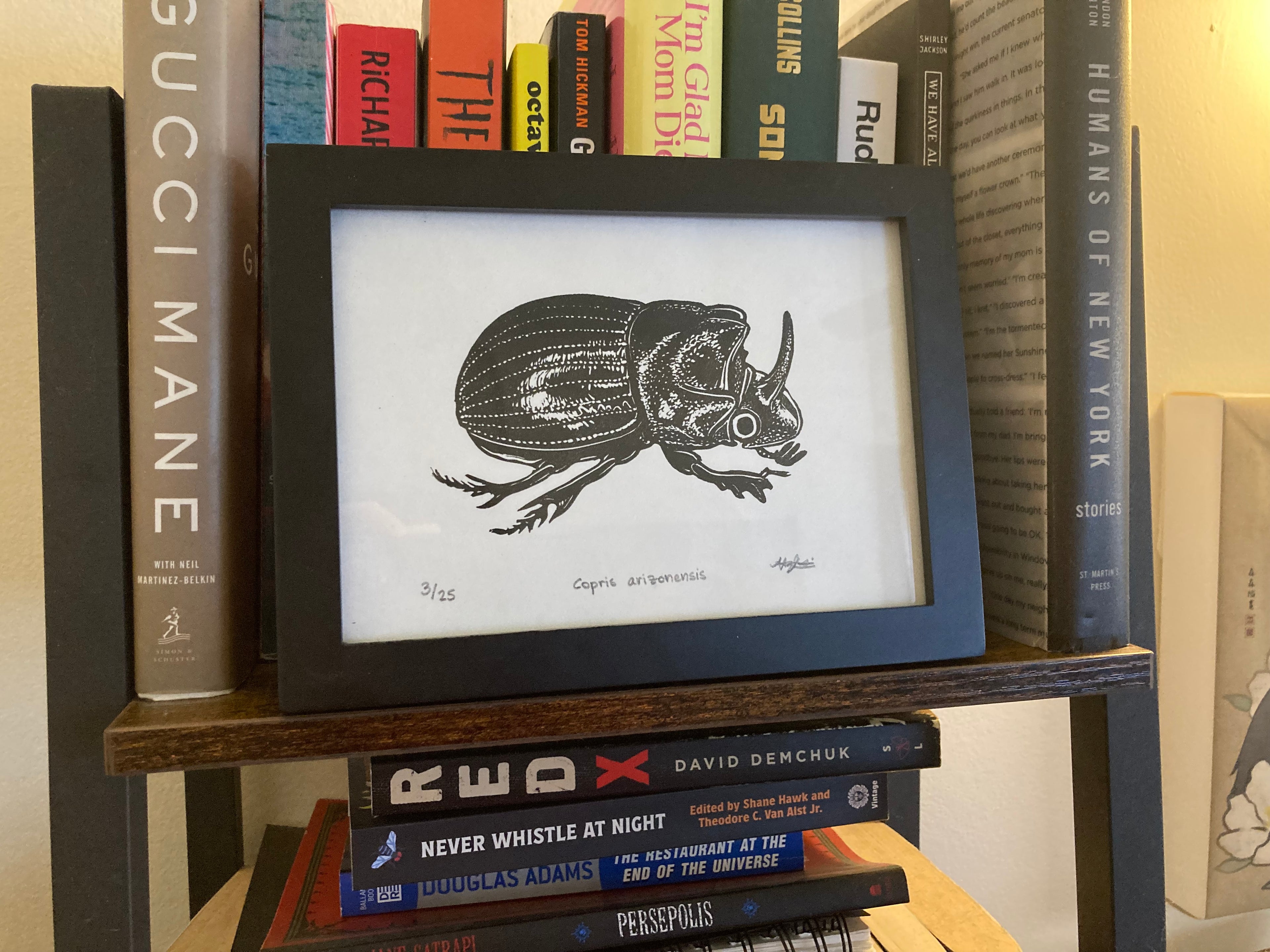 Copris arizonensis Linocut Print