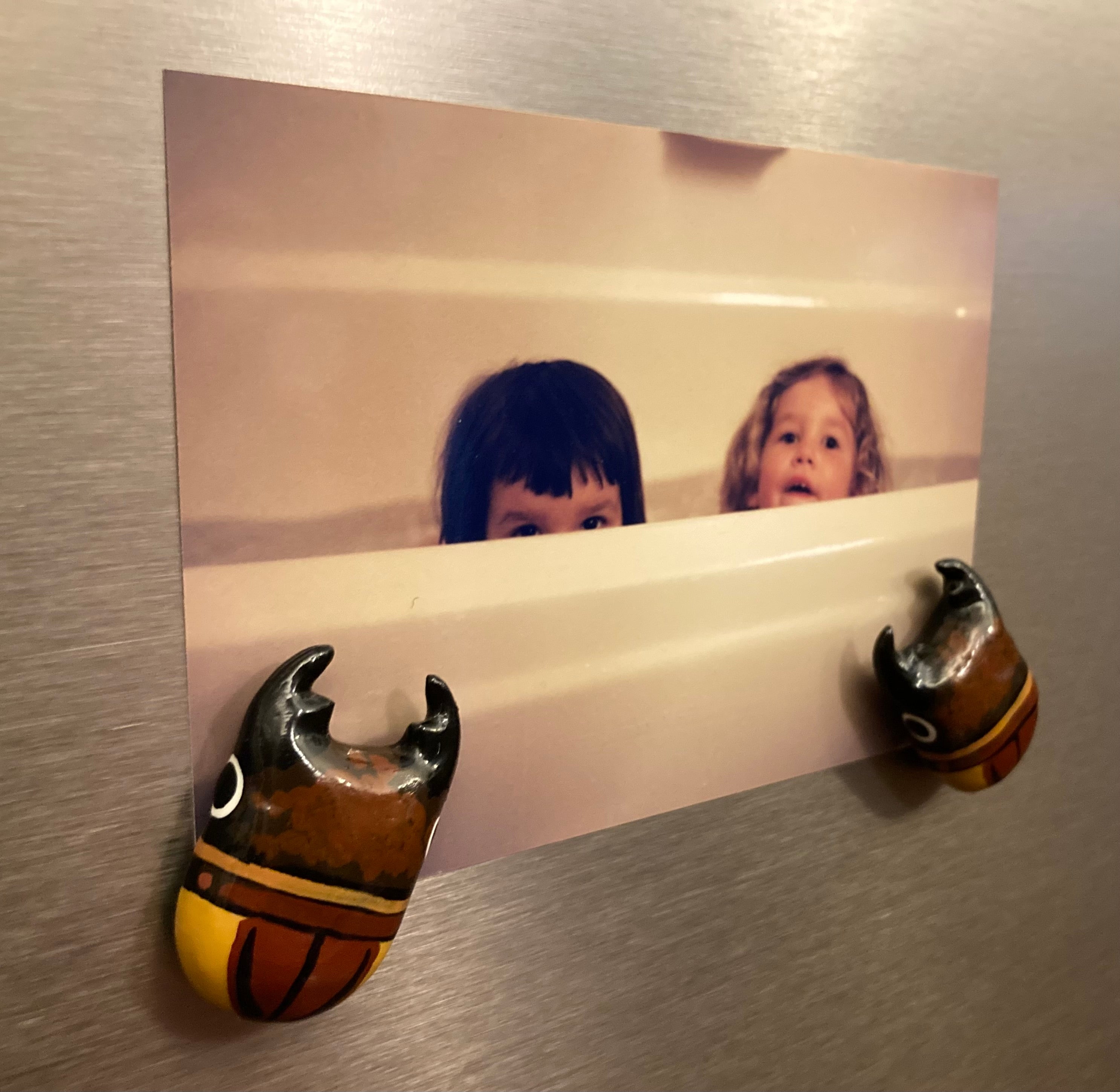 Prosopocoilus lateralis Magnet