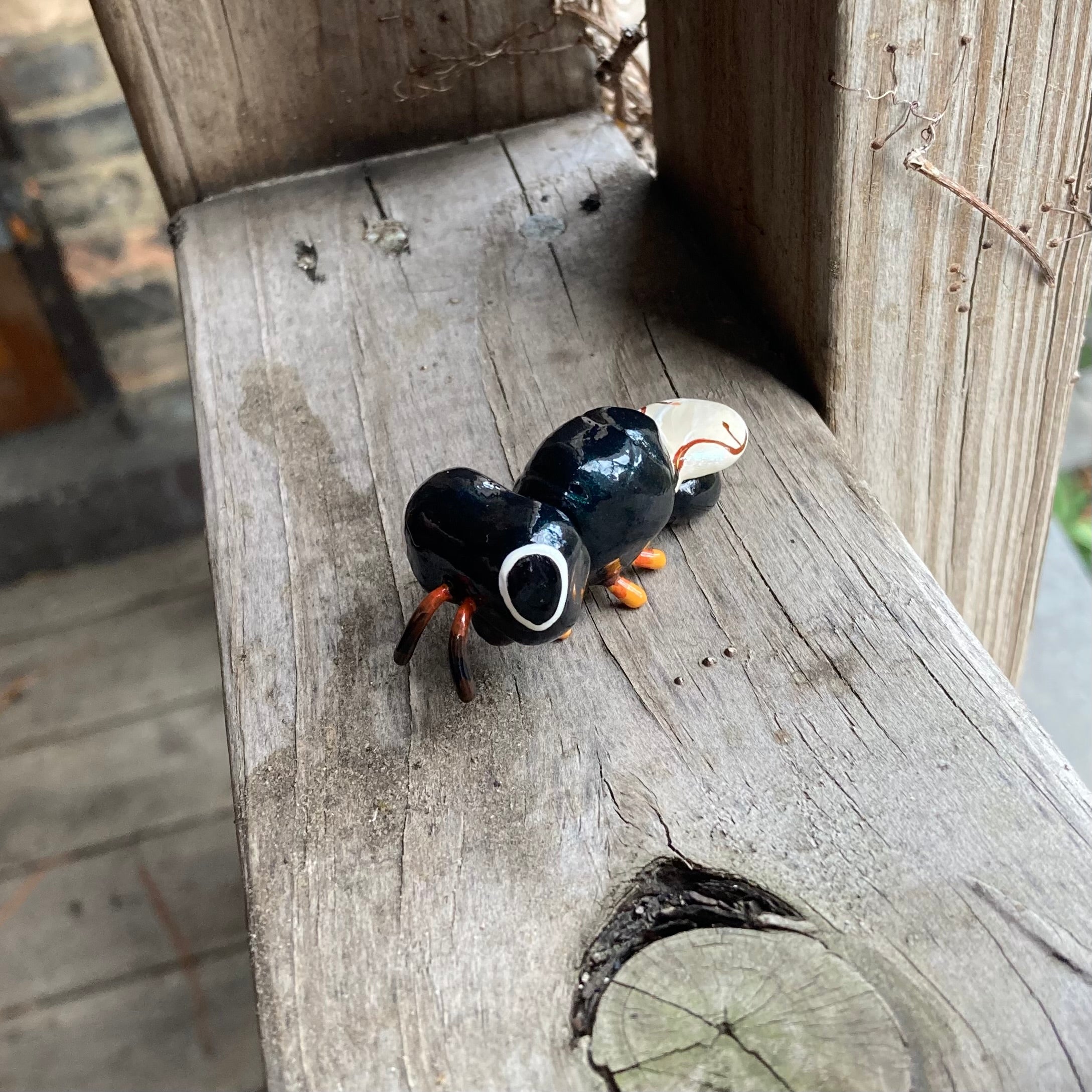 Cratomus megacephala Sculpture