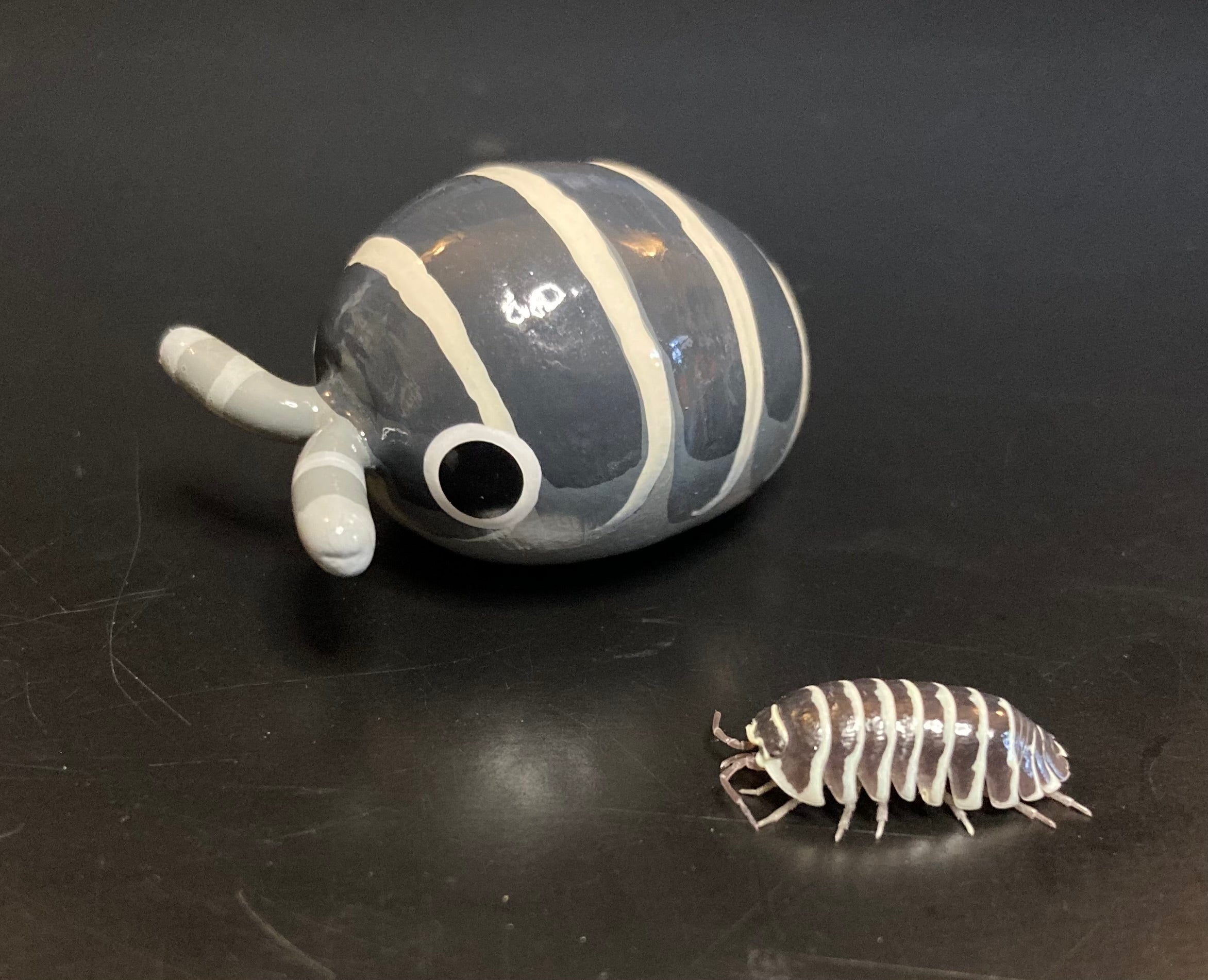 Armadillidium maculatum "Zebra" Isopod Mini Sculpture