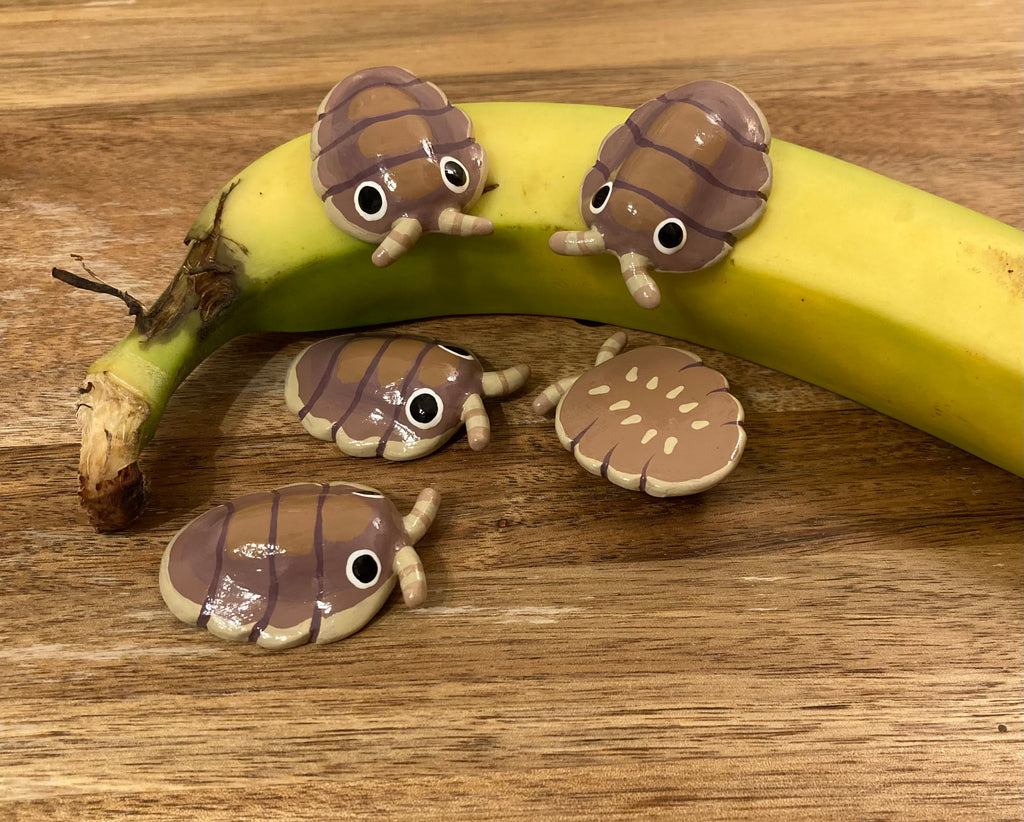 Troglodillo sp. "Soil" Sculpture