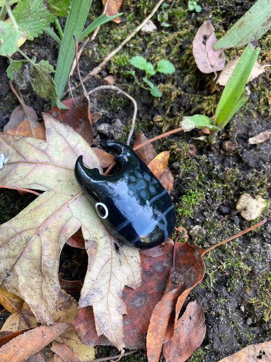 Serrognathus bucephalus Magnet