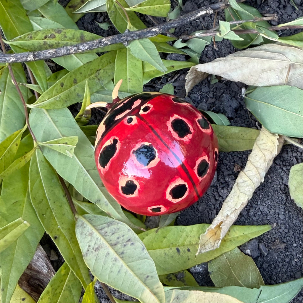 Anatis mali Sculpture
