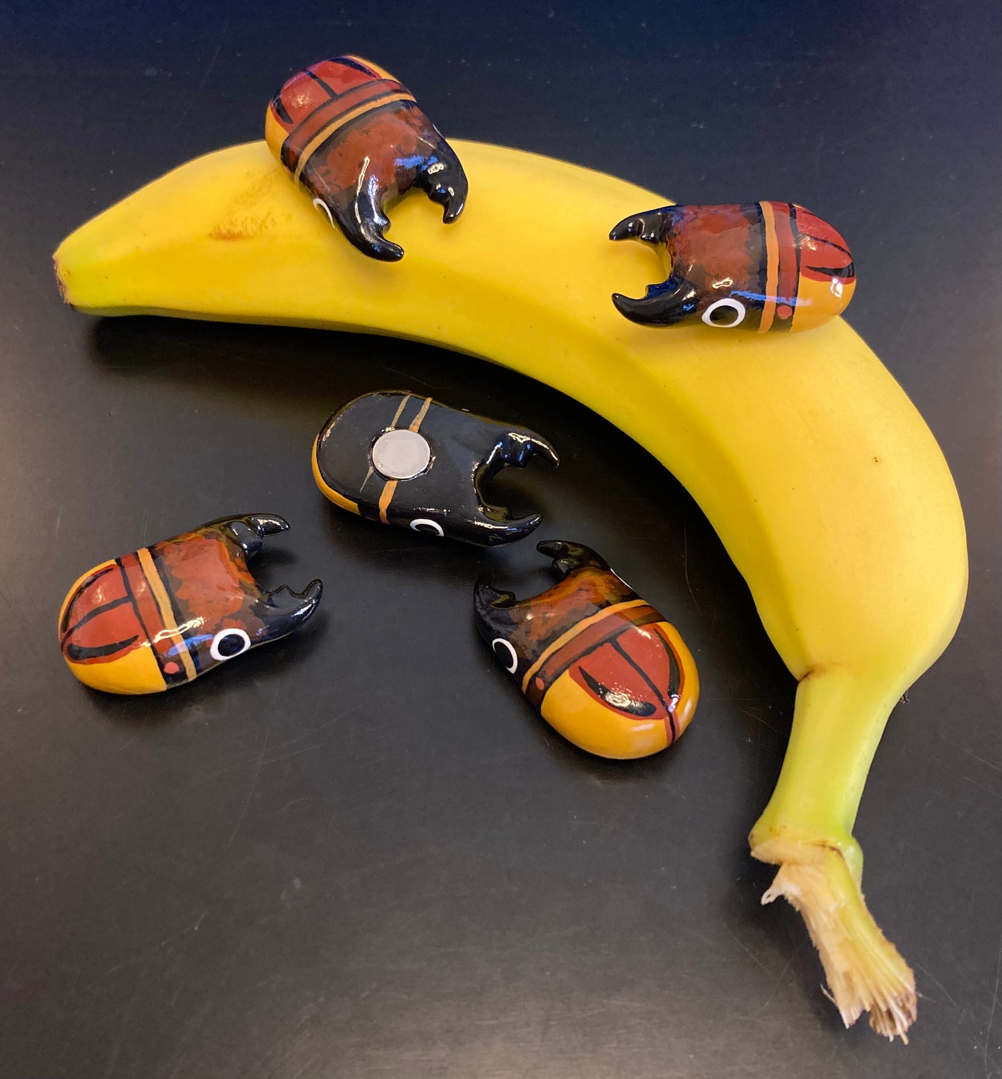 Prosopocoilus lateralis Magnet