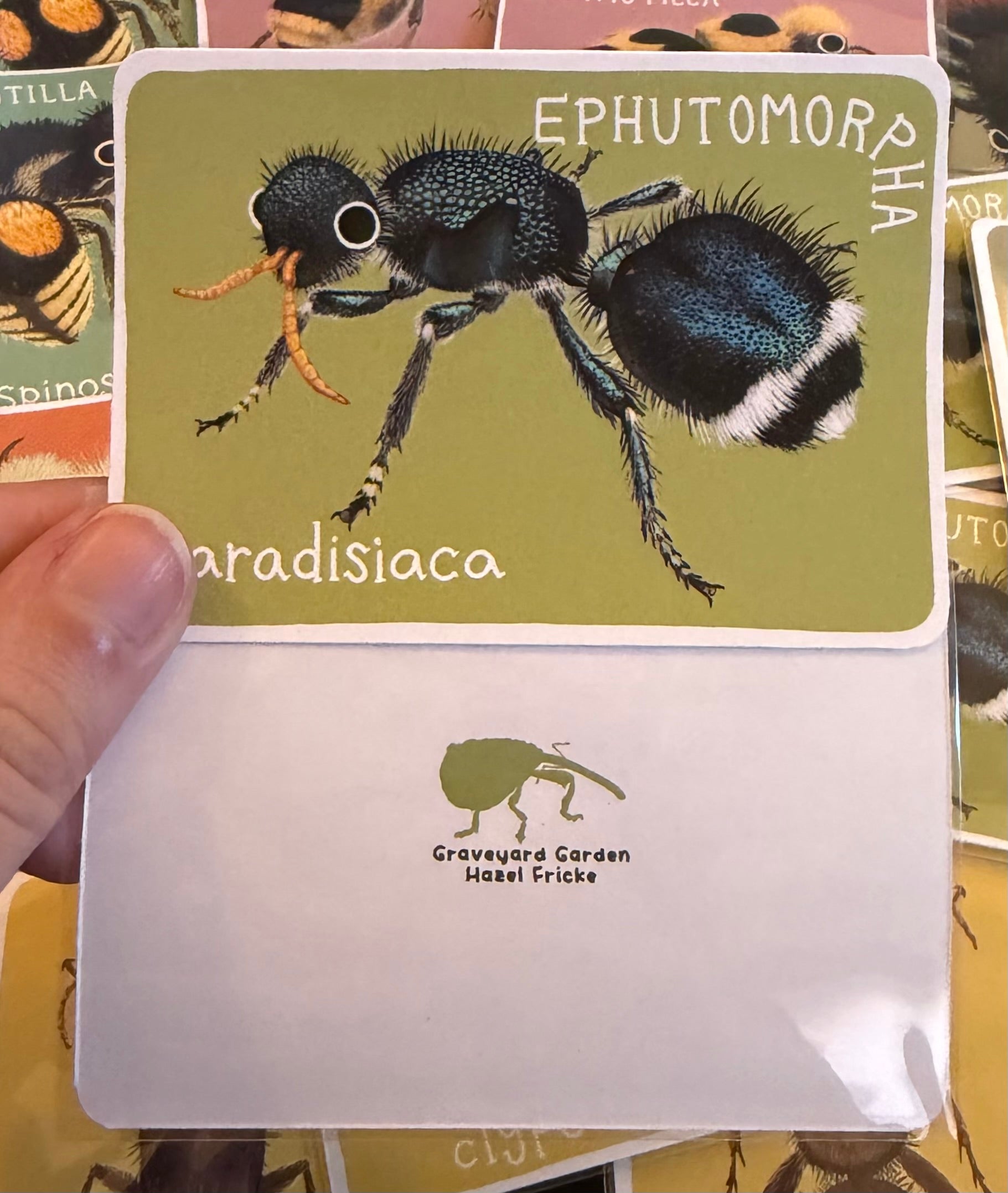 Mutillidae Mini Prints