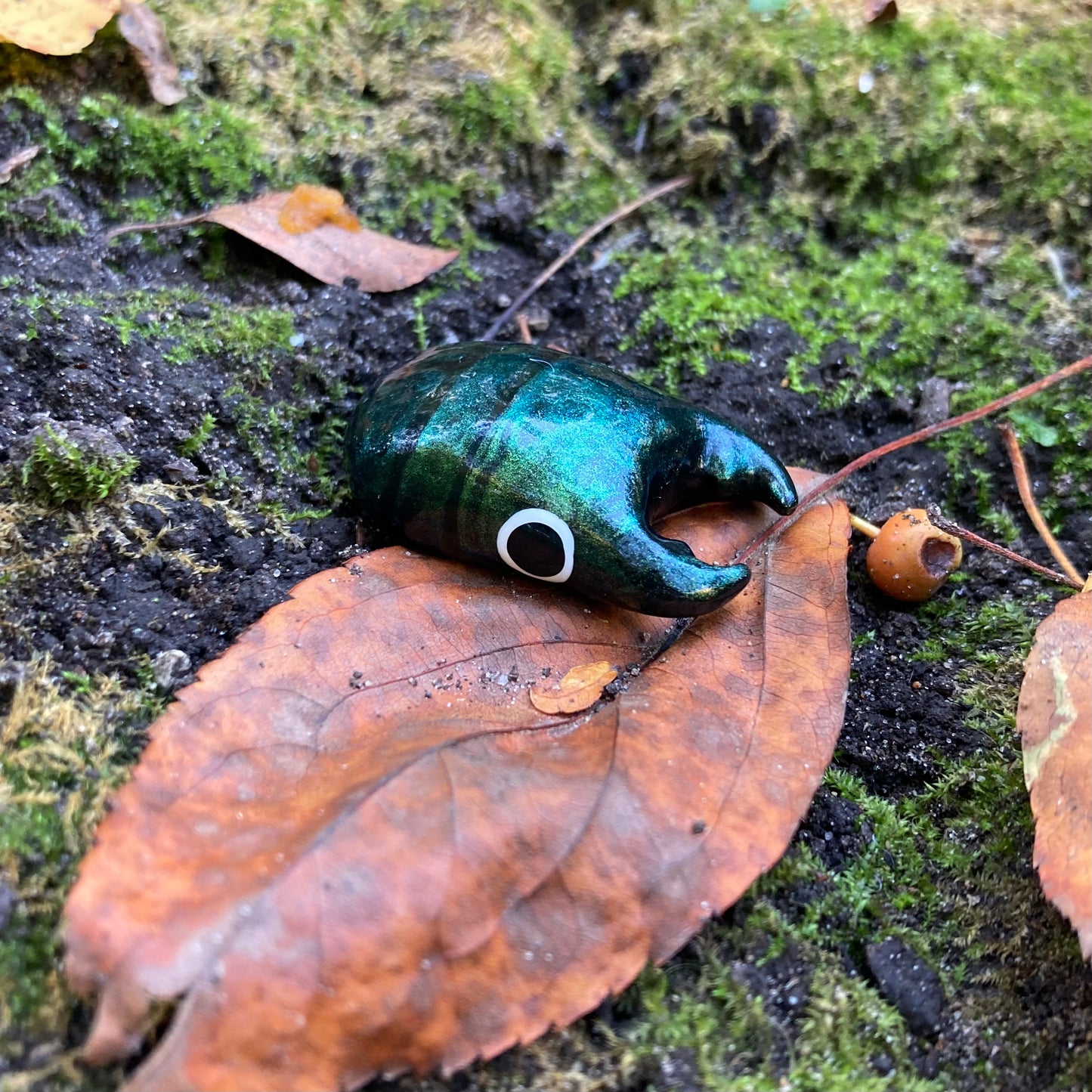 Platycerus caprea Magnet