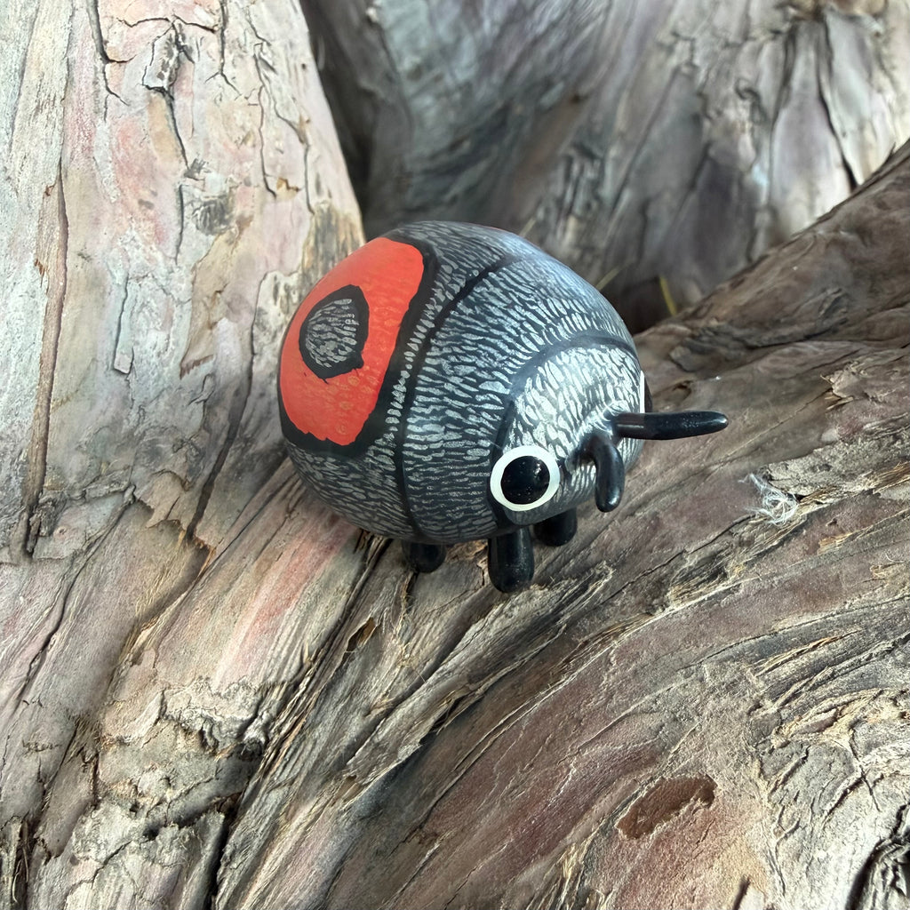 Chnootriba quadrioculata Sculpture