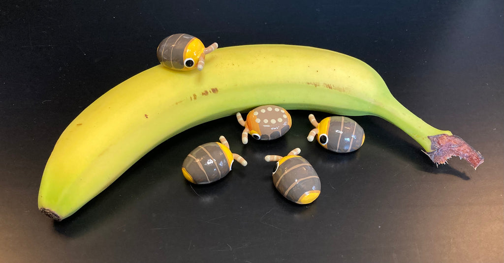 Cubaris sp. "Rubber Ducky" Isopod Mini Sculpture