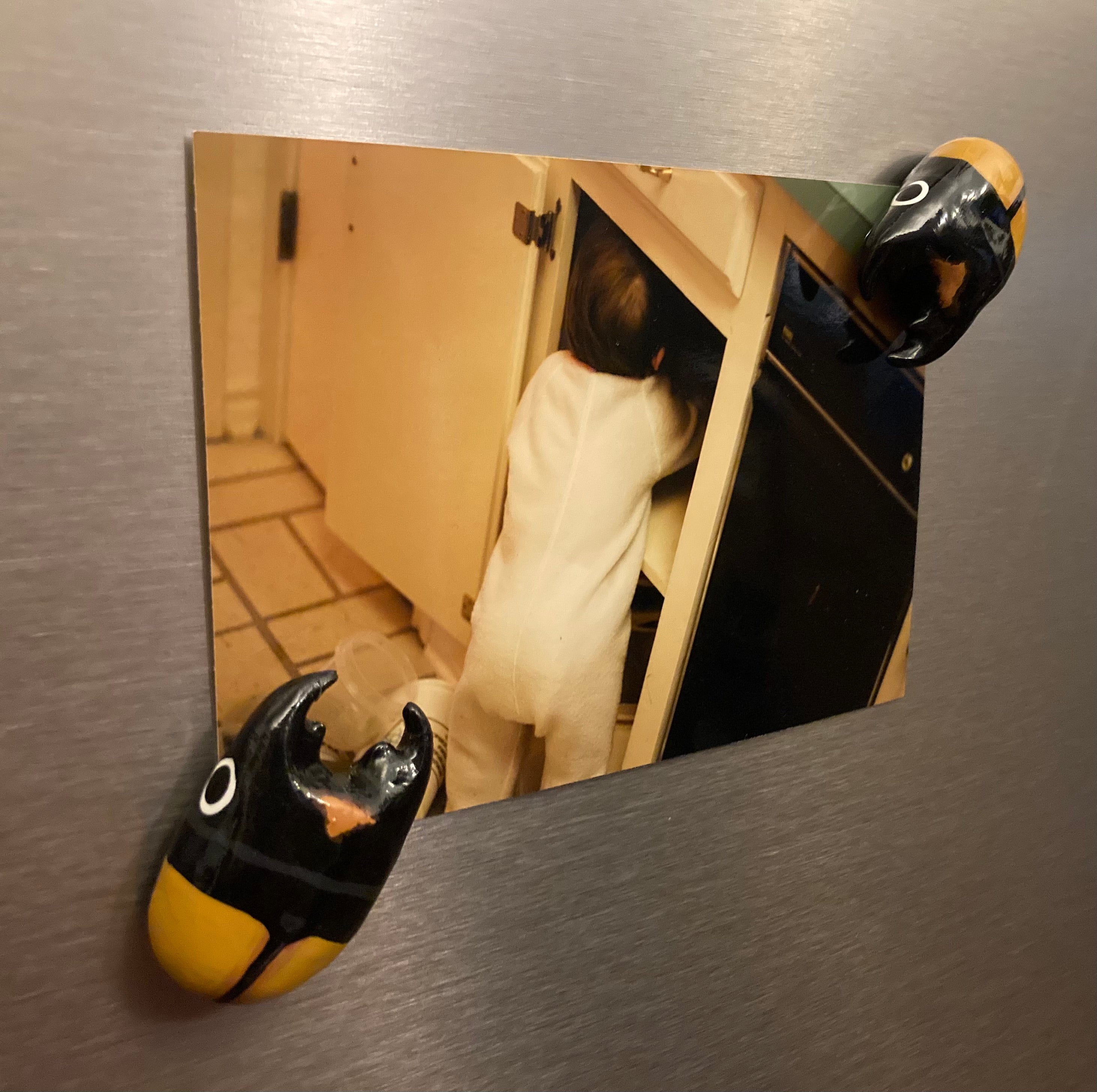 Odontolabis spectabilis Magnet