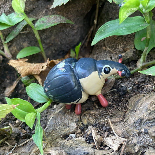 Phytobius leucogaster Sculpture