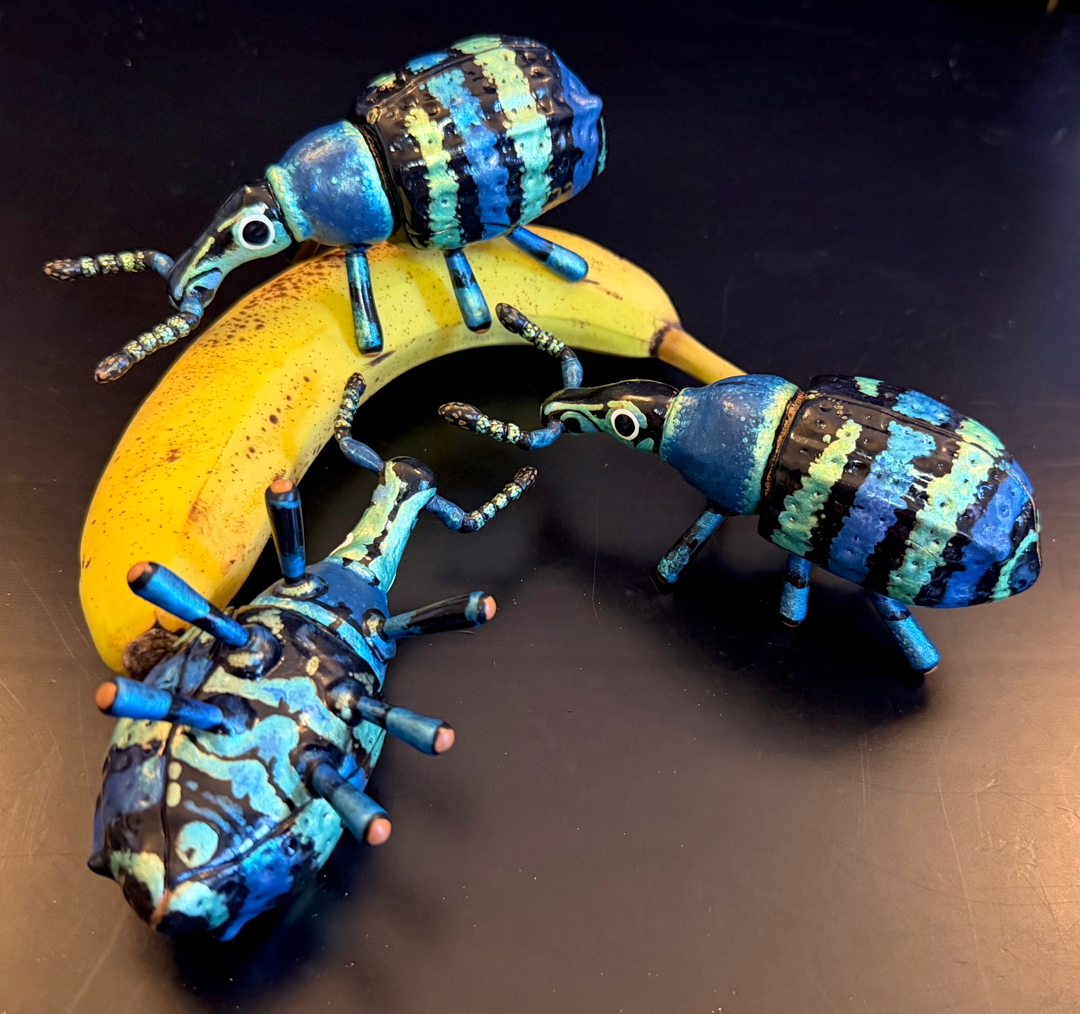 Eupholus magnificus sculpture
