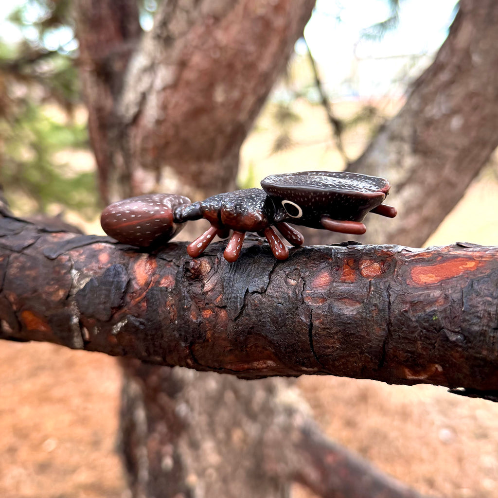 Cephalotes varians "Northern Caribbean Turtle Ant" Sculpture
