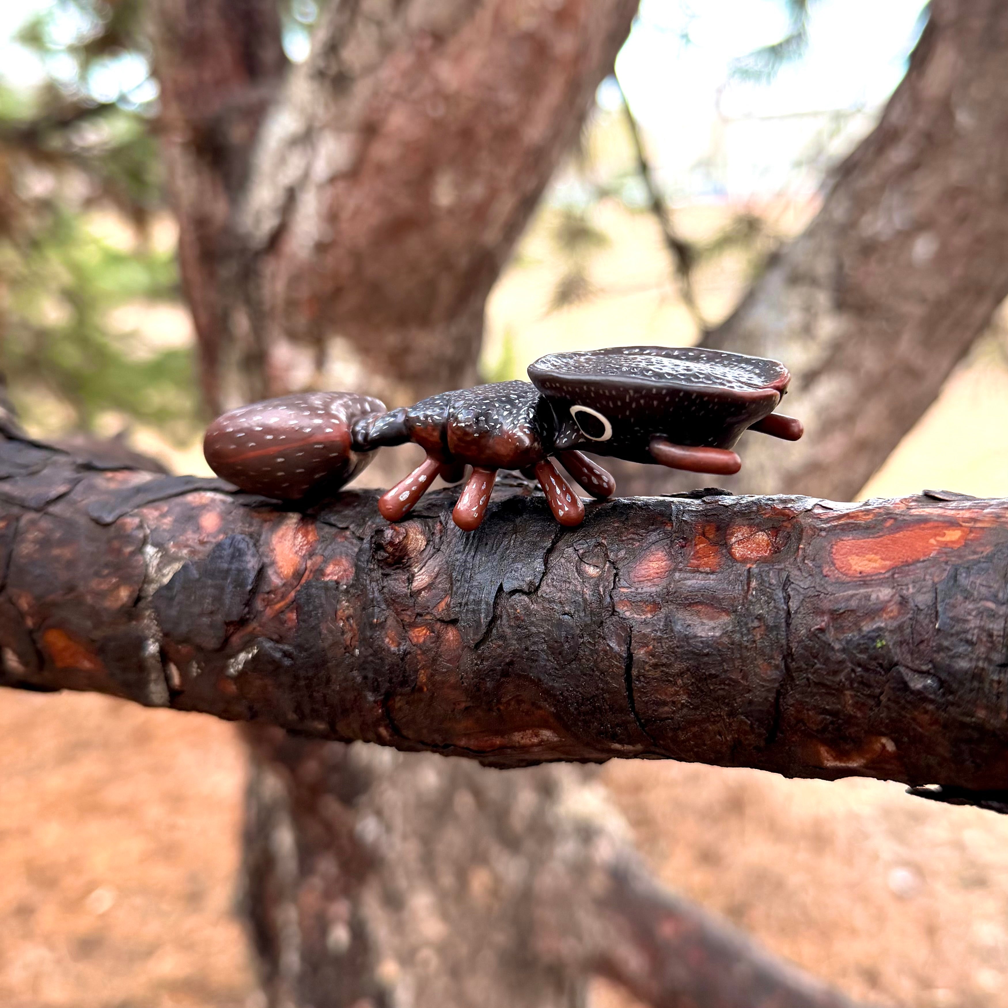 Cephalotes varians "Northern Caribbean Turtle Ant" Sculpture