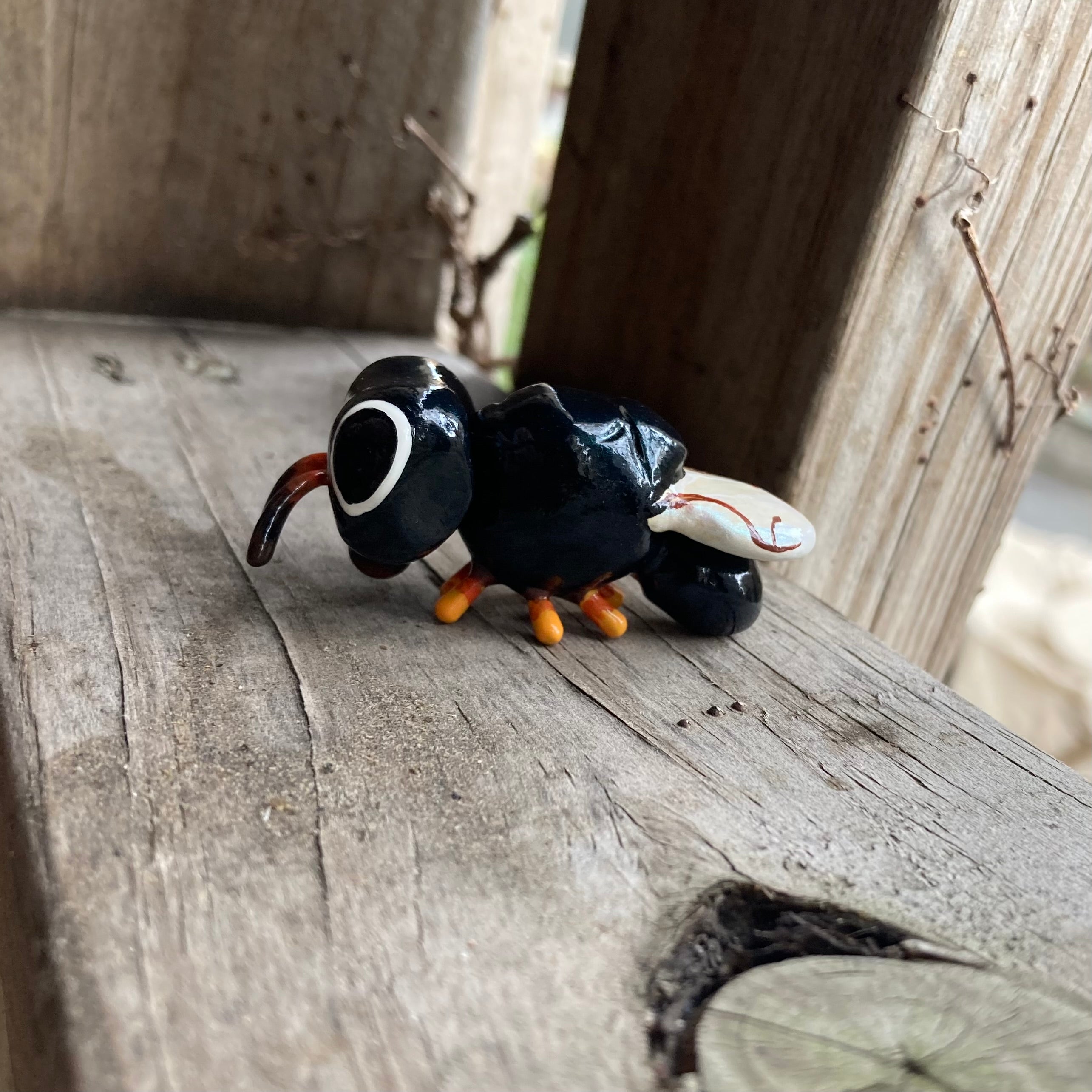 Cratomus megacephala Sculpture