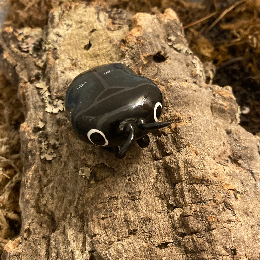 Pachyschelus purpureus Sculpture