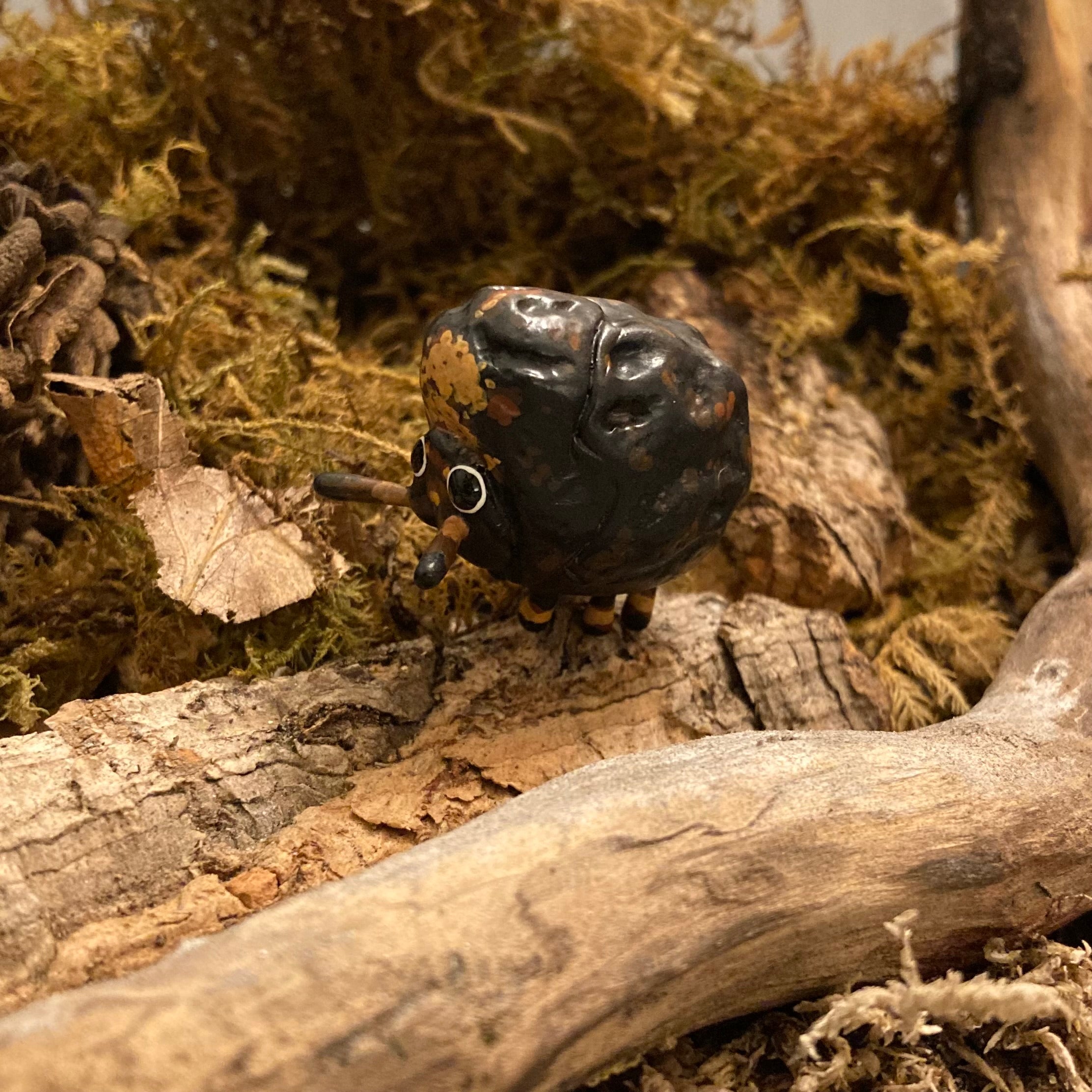 Exema dispar Sculpture