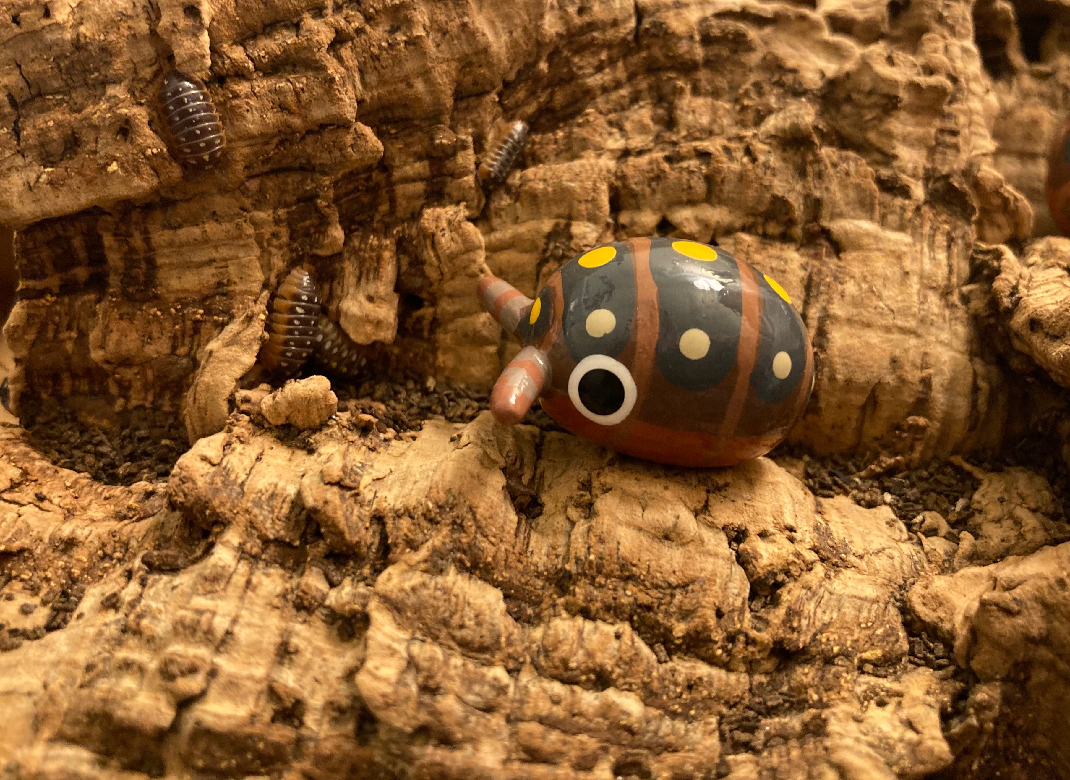 Armadillidium klugii "Clown" Isopod Mini Sculpture