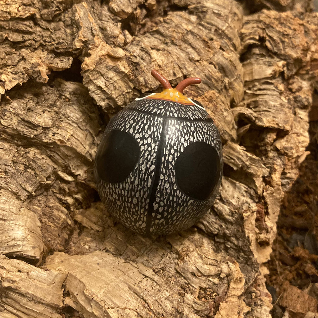 Azya orbigera Sculpture