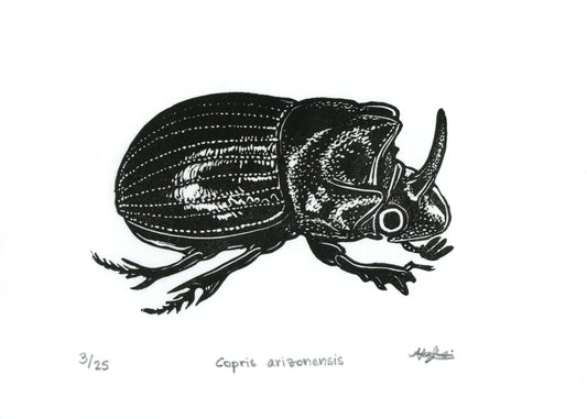 Copris arizonensis Linocut Print