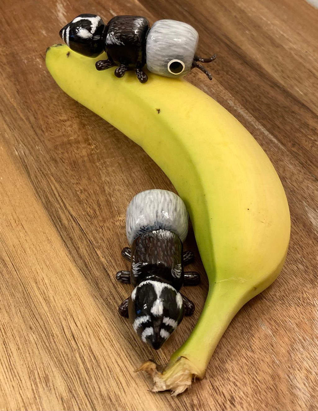 Euspinolia militaris "Panda Ant" Sculpture