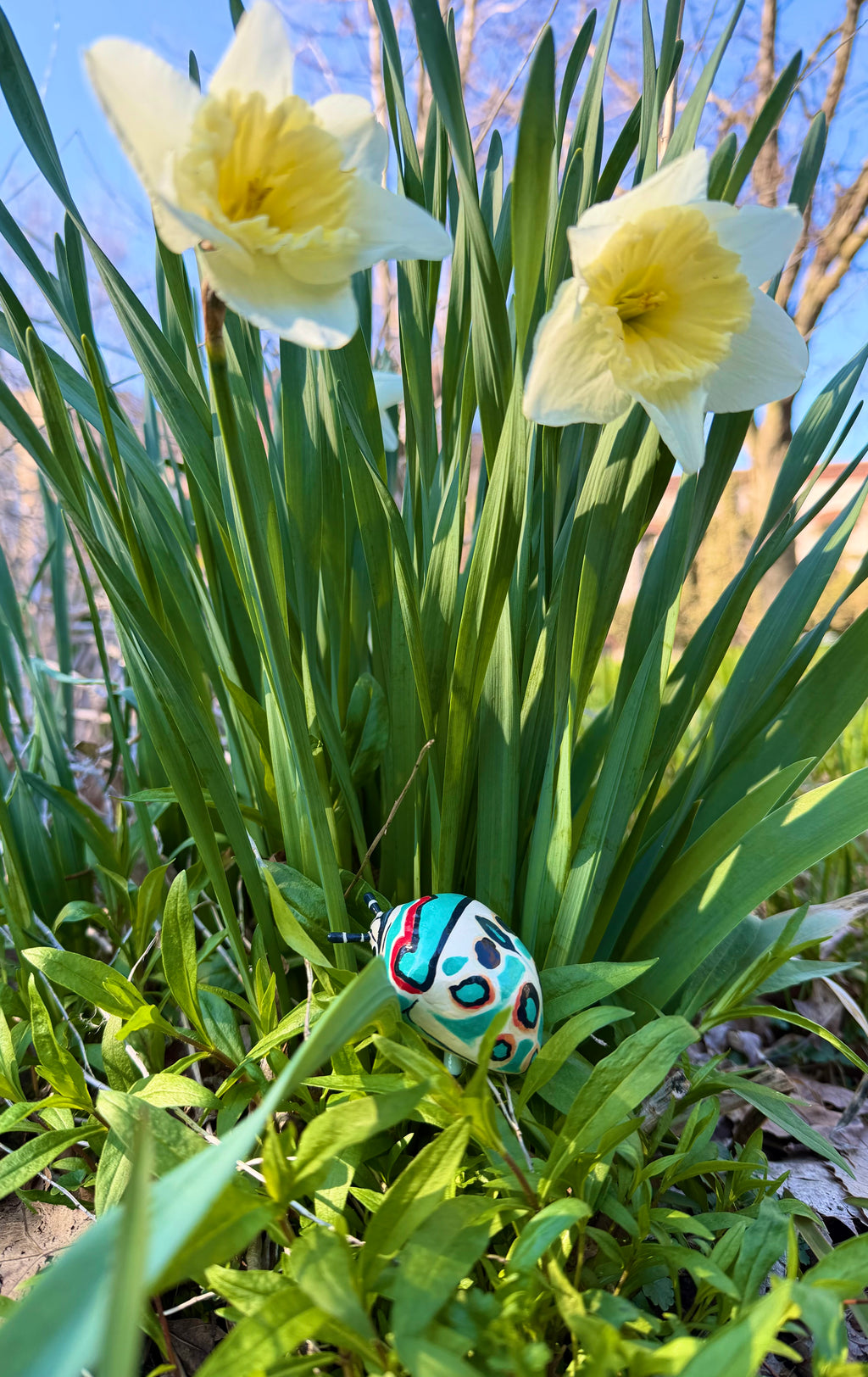 Sphaerocoris annulus "Picasso Bug" Sculpture
