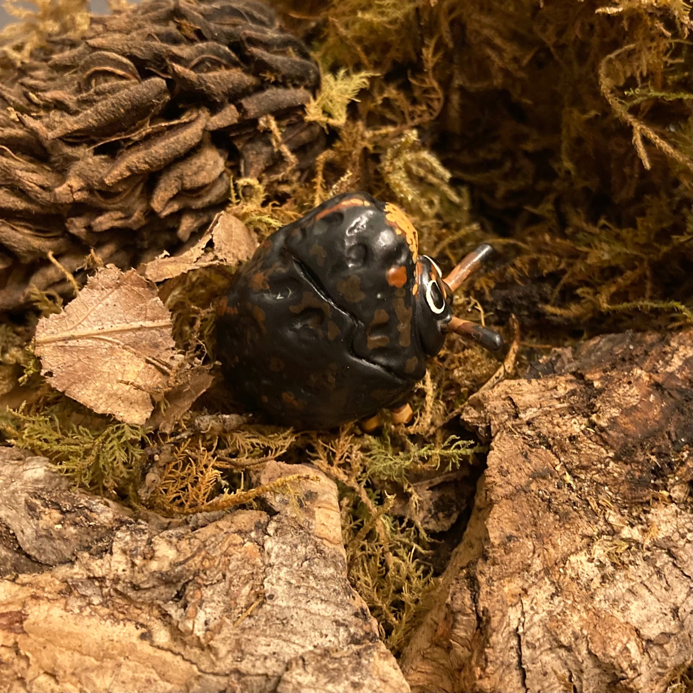 Exema dispar Sculpture