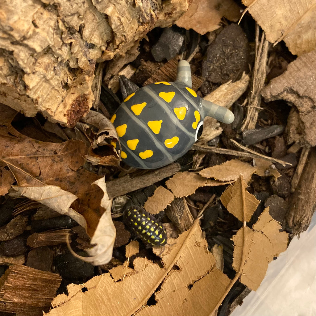 Armadillidium gestroi Isopod Mini Sculpture