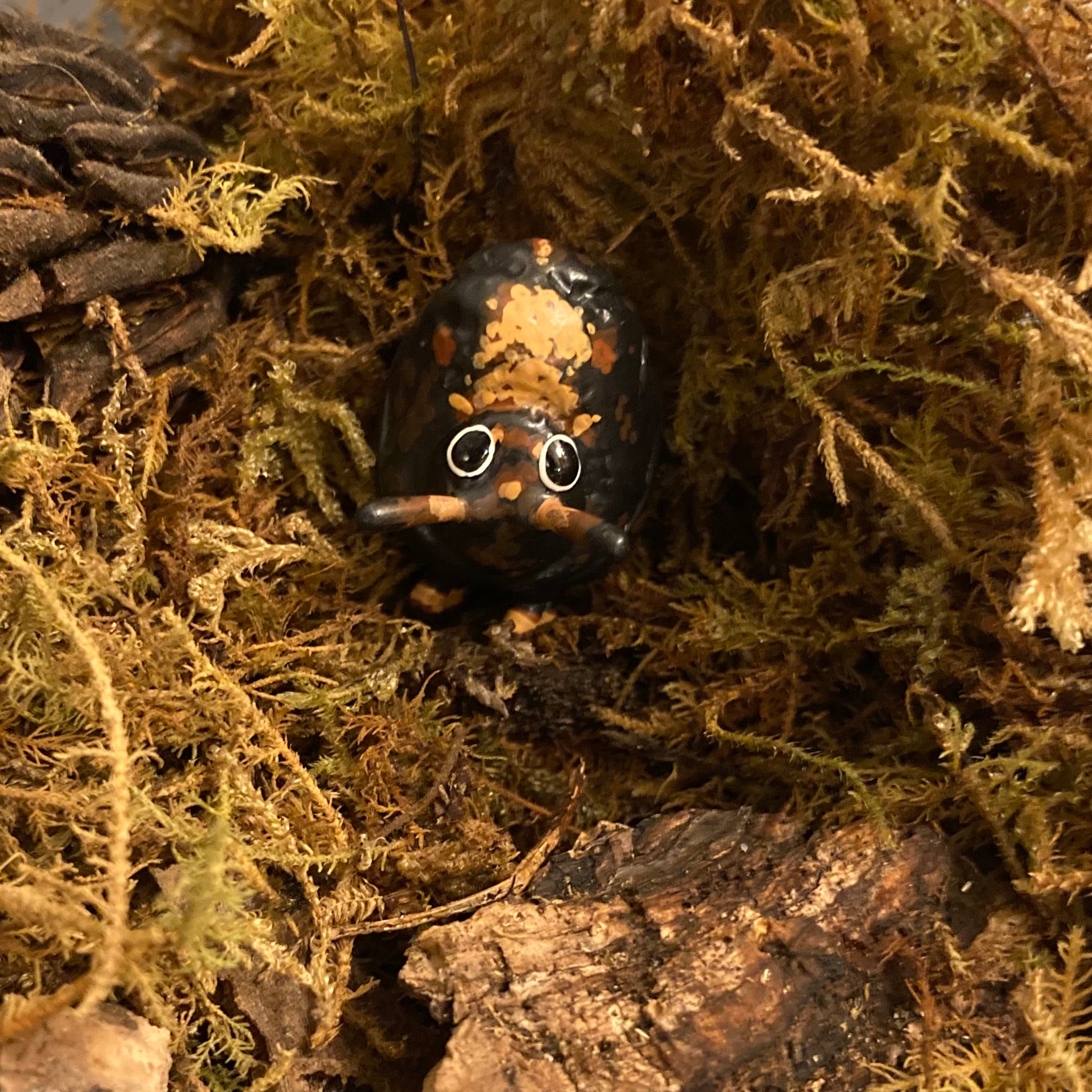 Exema dispar Sculpture