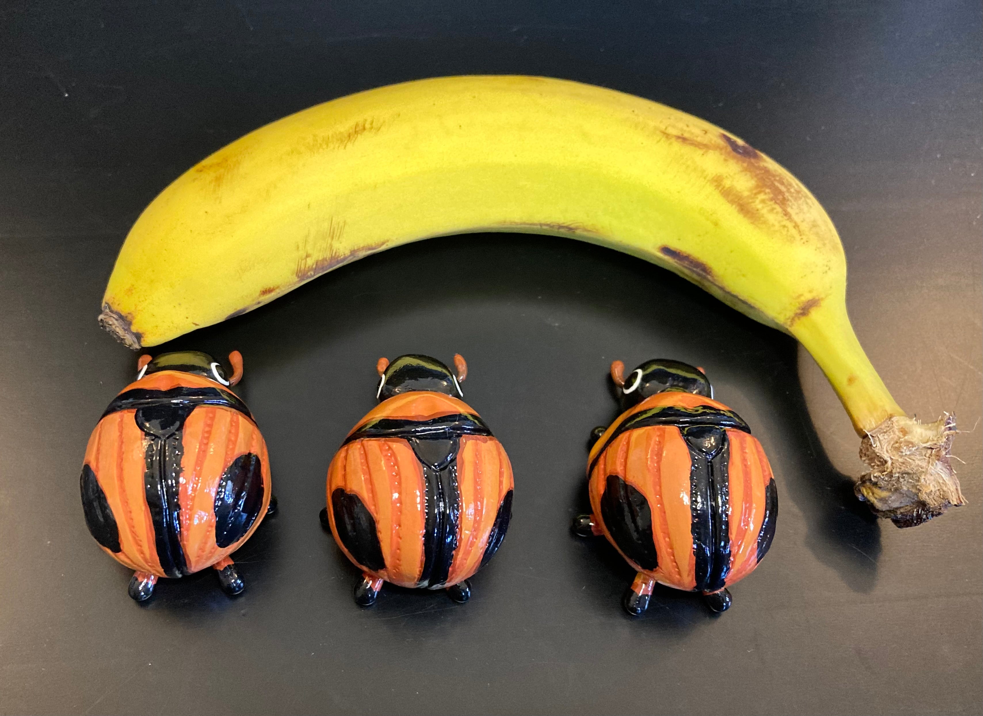 Bolbocerosoma confusum Sculputure