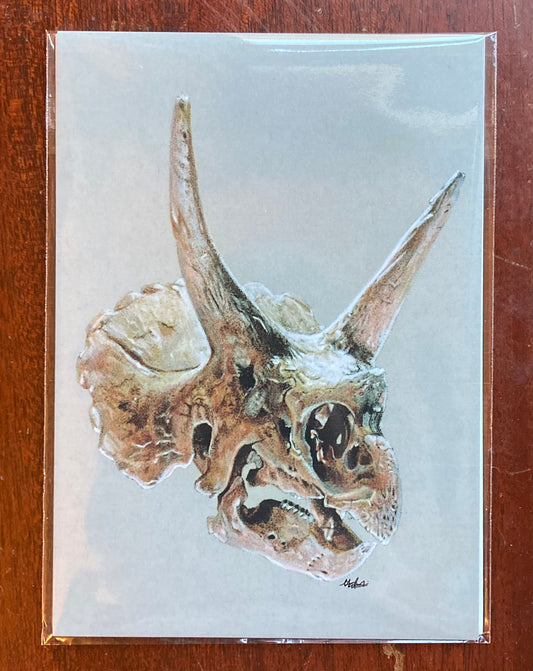 PRINT Triceratops Skull Illustration