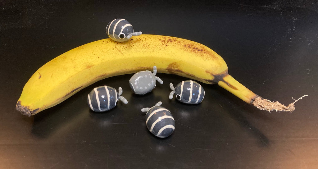 Armadillidium maculatum "Zebra" Isopod Mini Sculpture