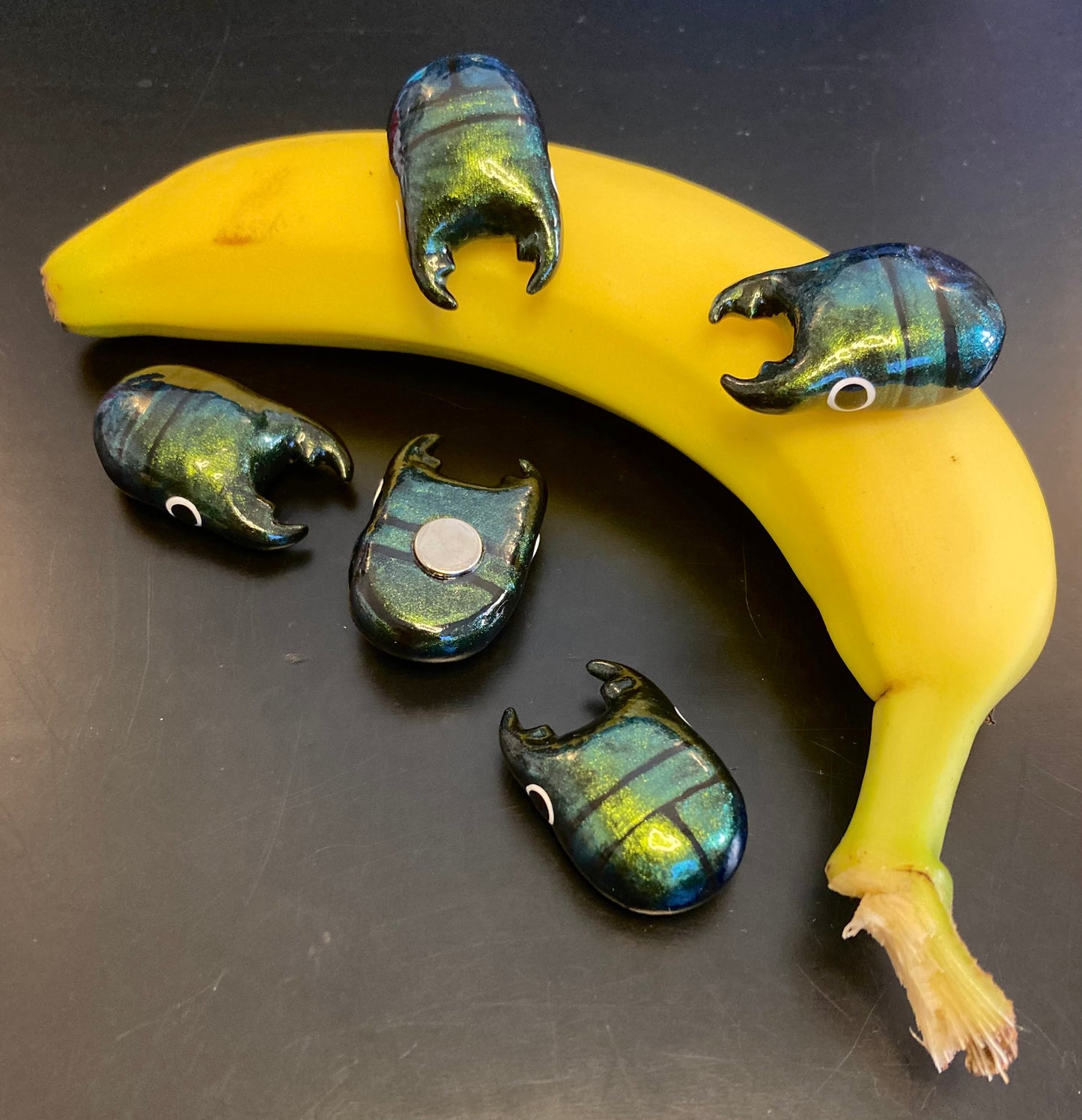 Platycerus caprea Magnet