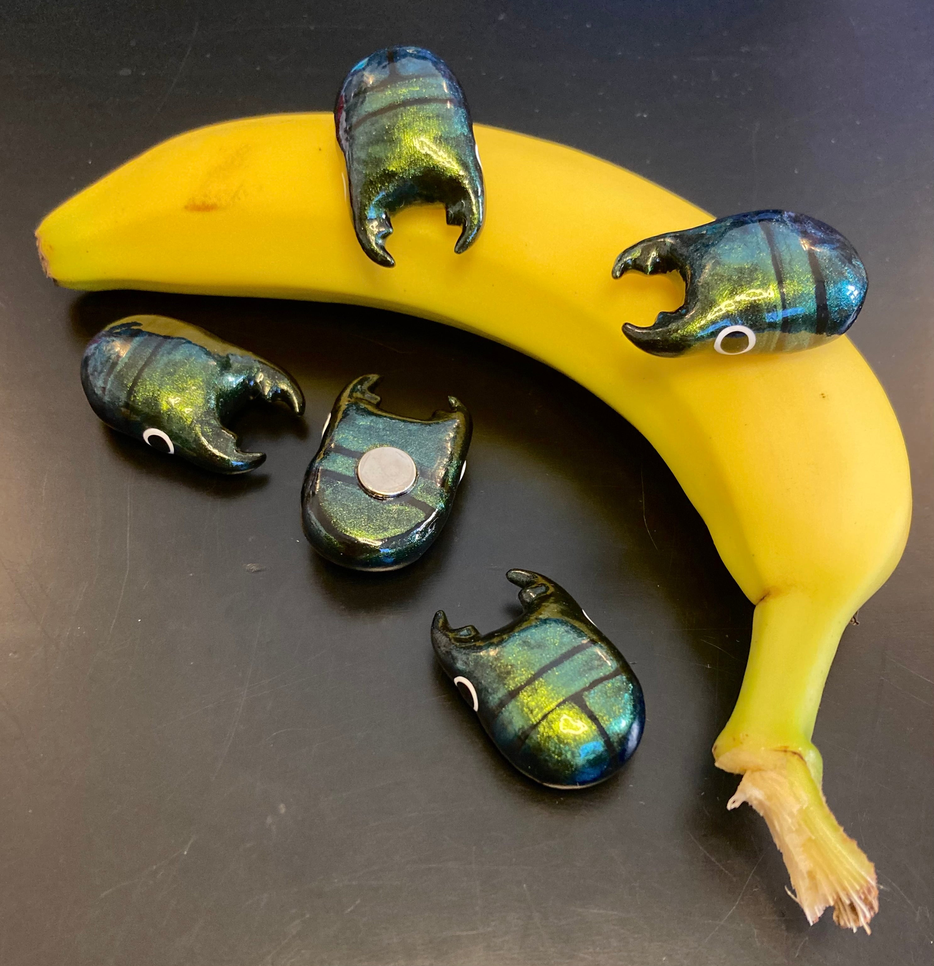 Platycerus caprea Magnet