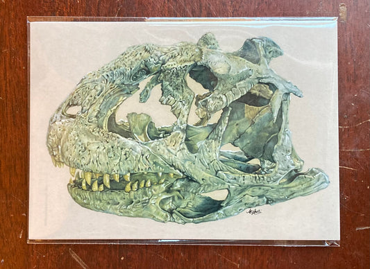 PRINT Majungasaurus Skull Illustration