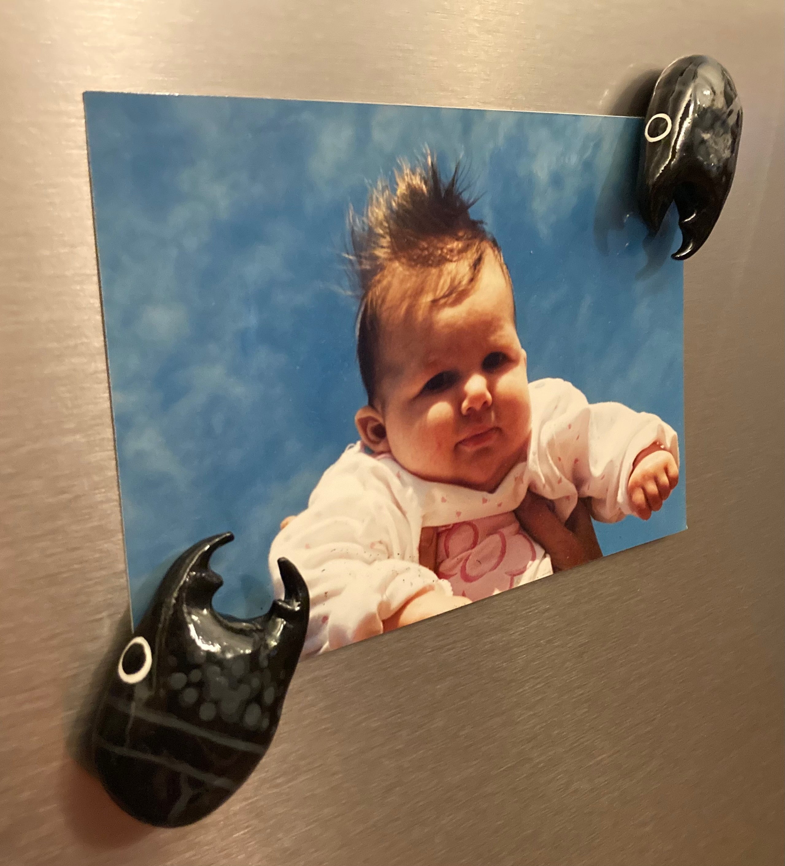 Serrognathus bucephalus Magnet