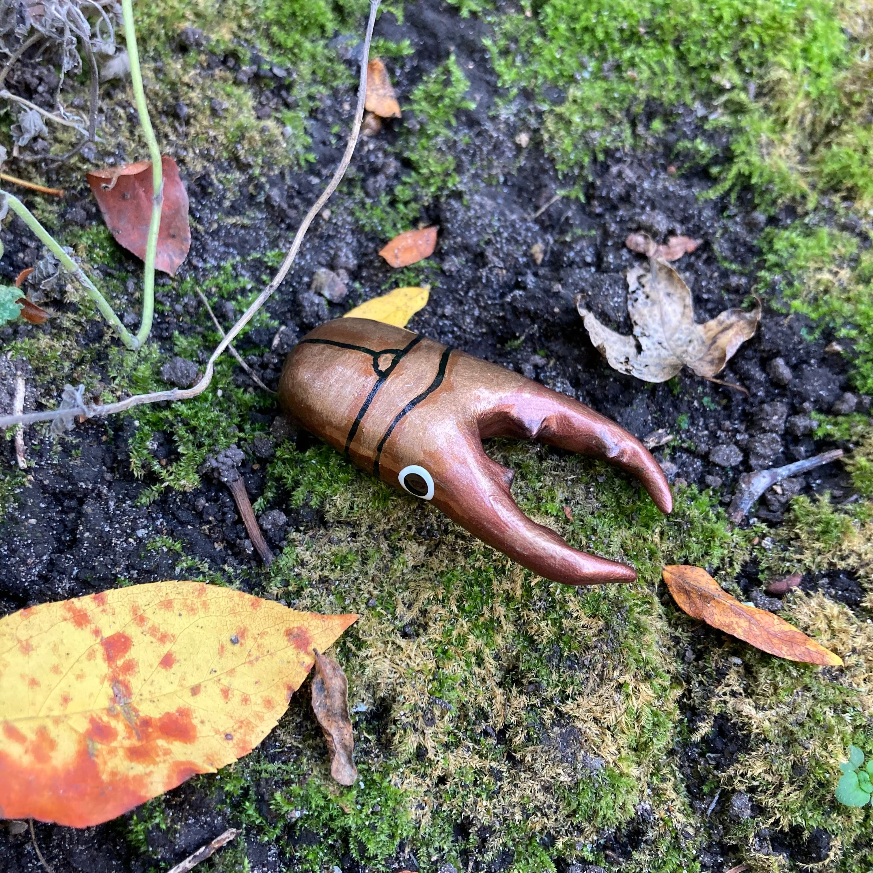 Cyclommatus metallifer Magnet