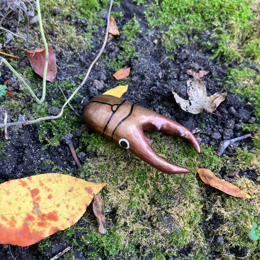 Cyclommatus metallifer Magnet