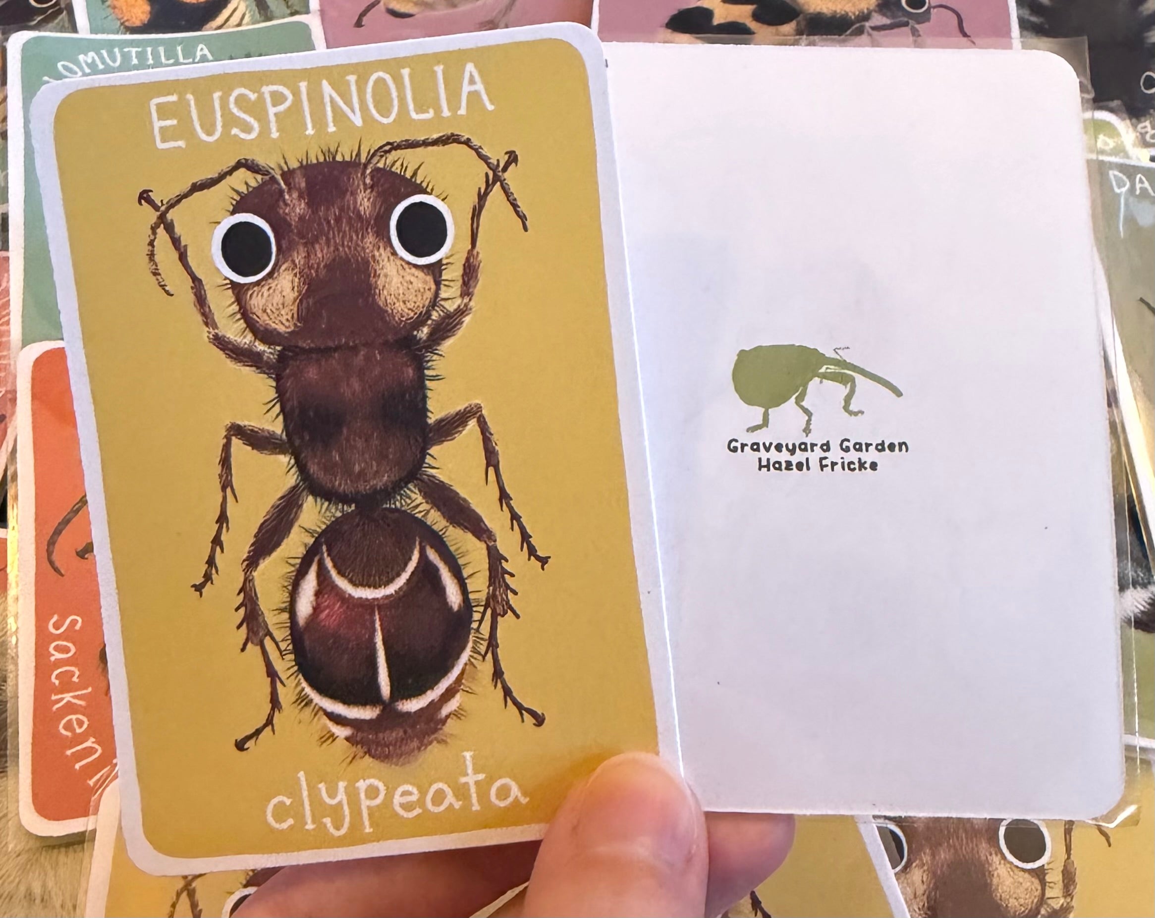 Mutillidae Mini Prints