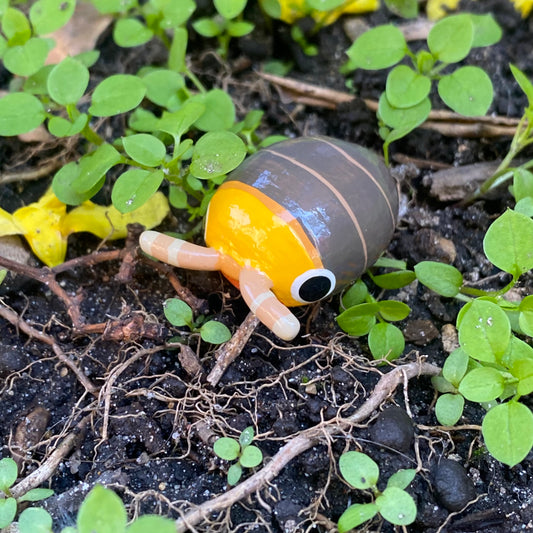Cubaris sp. "Rubber Ducky" Isopod Mini Sculpture