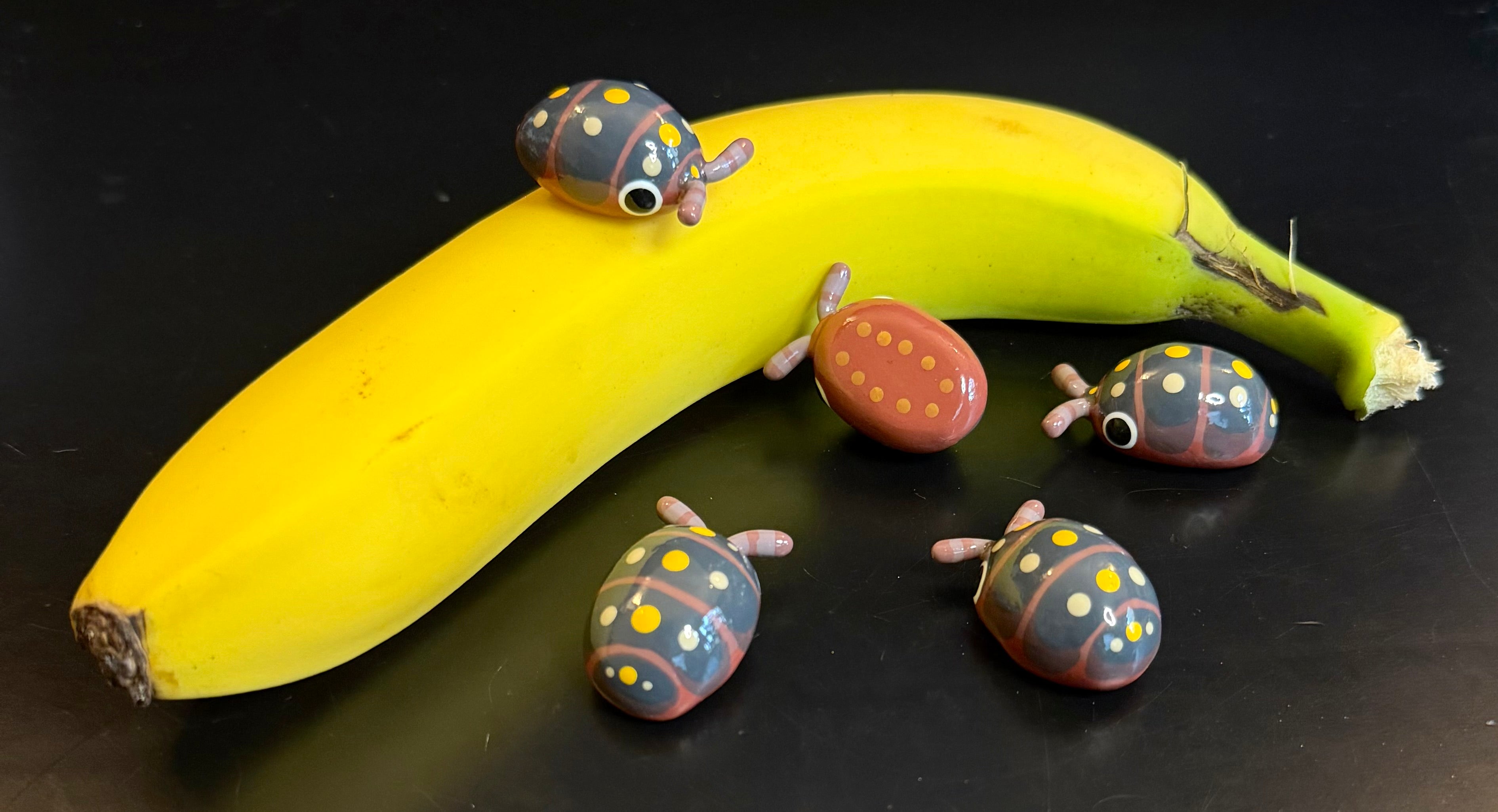 Armadillidium klugii "Clown" Isopod Mini Sculpture v2.0